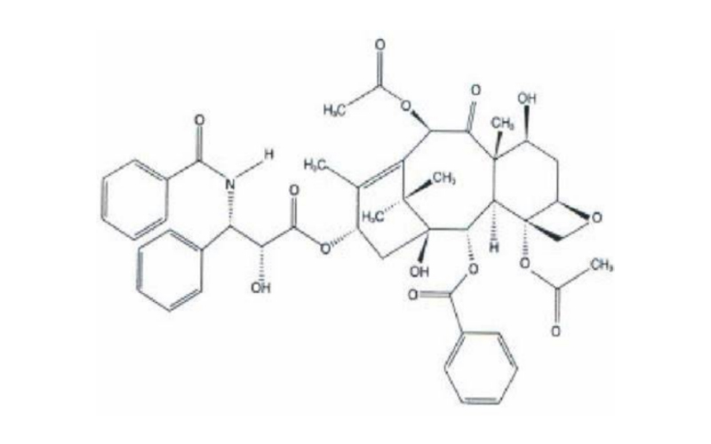 PAC vs PVC: Differences, Uses, and Properties